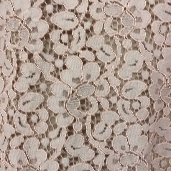 Zara Pale Pink Lace Mini Dress - Picture 3 of 3